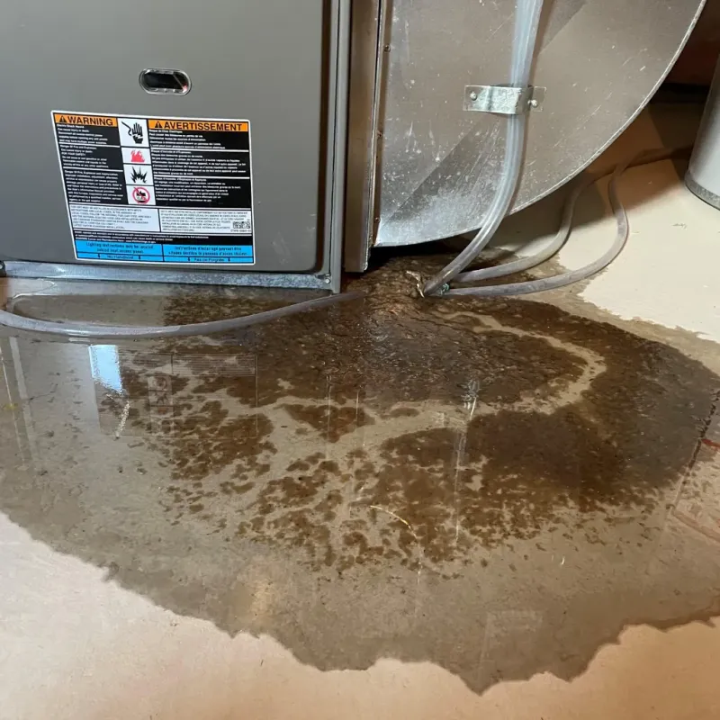 Appliance Leak Cleanup in Clinton County, IN